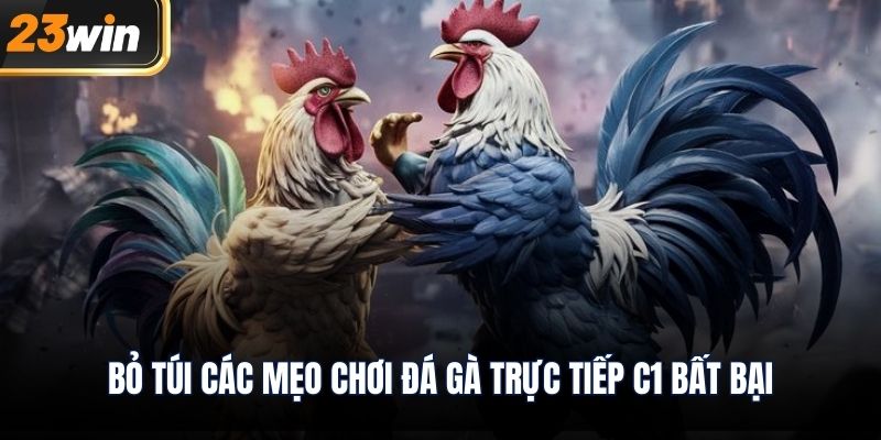 Bỏ túi các mẹo chơi đá gà trực tiếp c1 bất bại