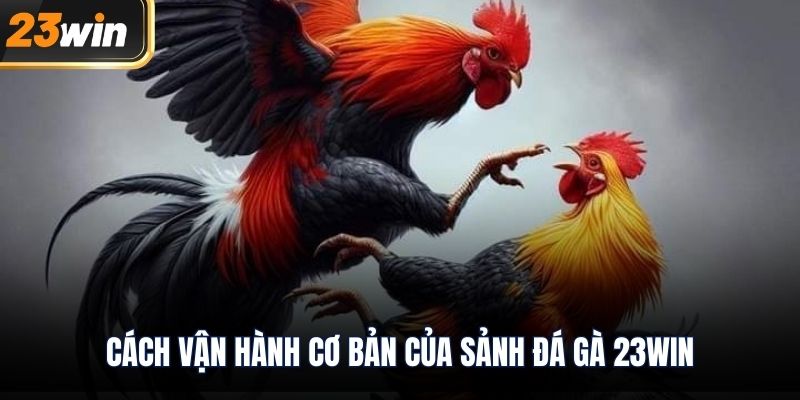 Cách vận hành cơ bản của sảnh Đá Gà 23WIN