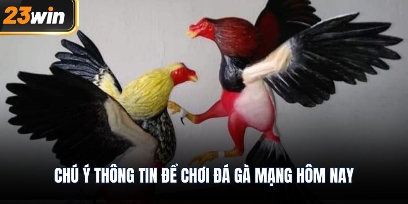 Chú ý thông tin để chơi đá gà mạng hôm nay