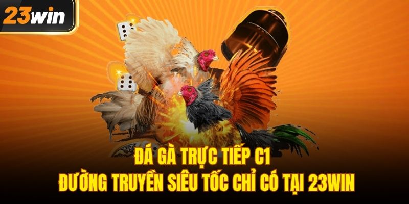 Đá gà trực tiếp C1