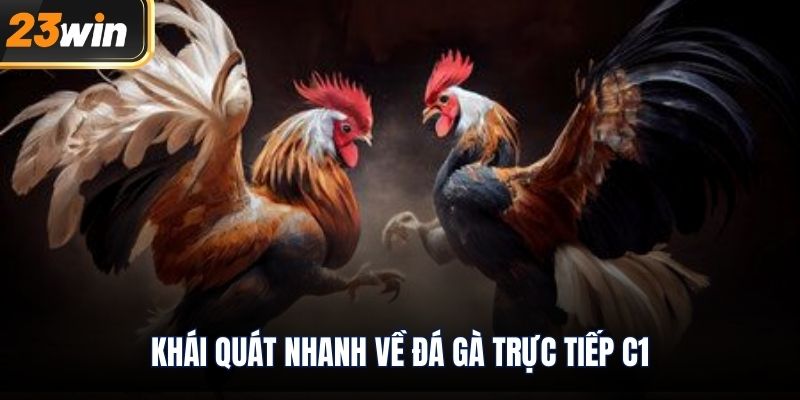 Khái quát nhanh về đá gà trực tiếp c1