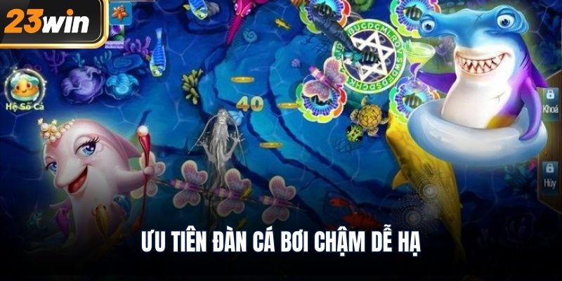 Ưu tiên đàn cá bơi chậm dễ hạ